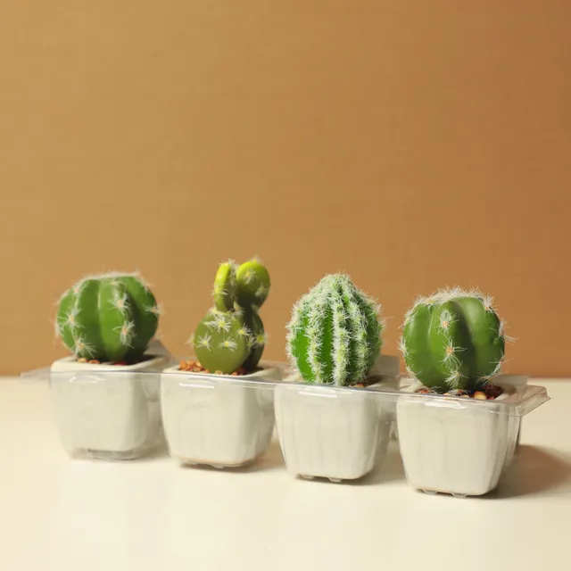 Ceramic Planter Set