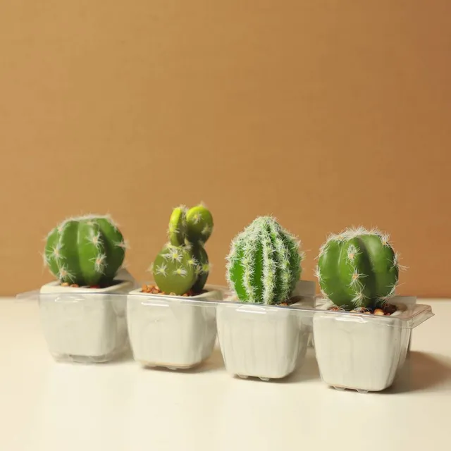 Ceramic Planter Set